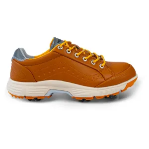 Ask Echo G716 Men's Professional Spikes Golf Shoes / Brown