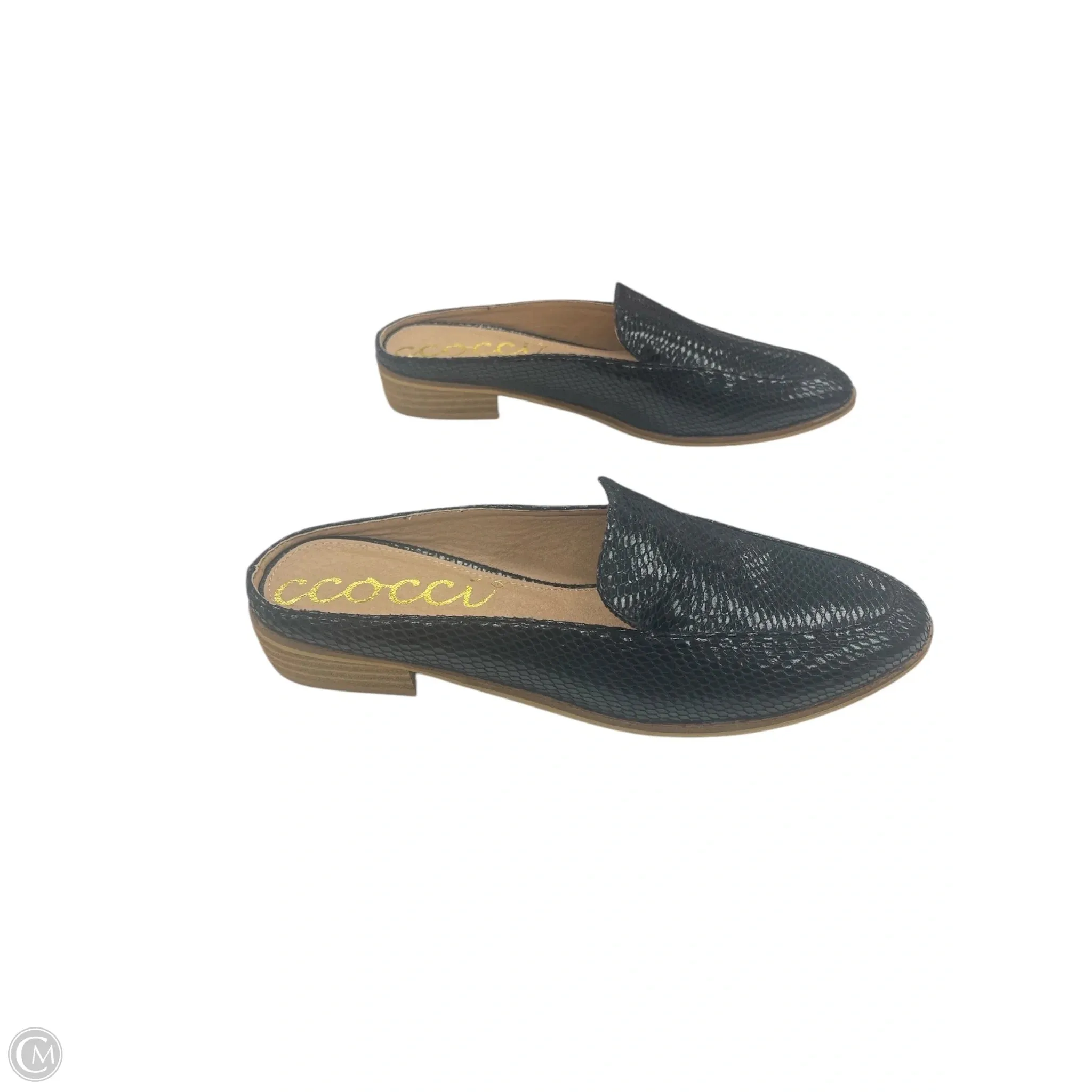 Shoes Flats By Ccocci In Black, Size: 8.5